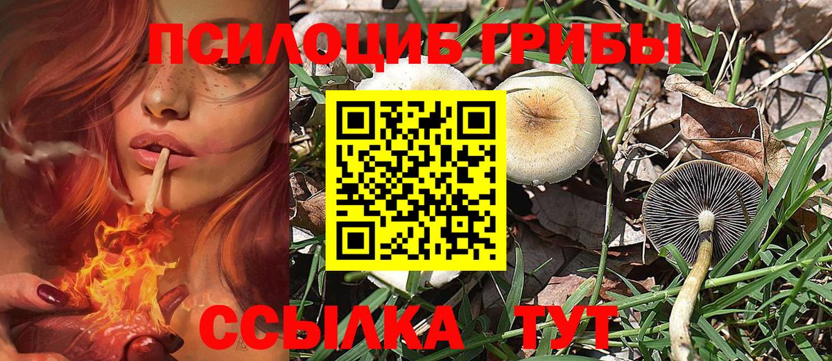 Моршанск  Галлюциногенные грибы MAGIC MUSHROOMS  Вход с VPN 